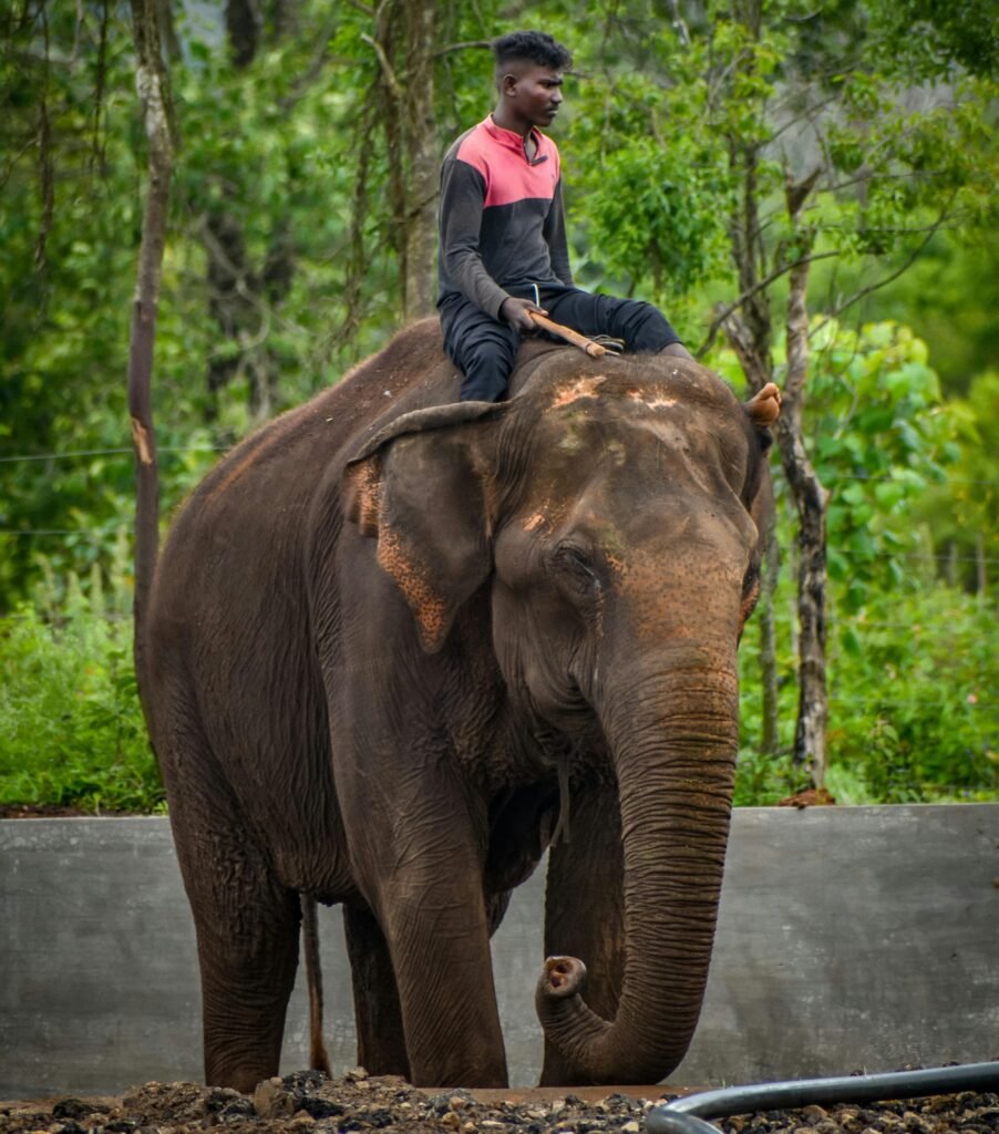 Travel Destinations, Latest travel Update UK, Air travel news, Travel Destinations 2026, Travel trends USA, Digital nomad visa countries, Top travel technology, Visa-free travel updates, Safe travel tips 2026, Tourism recovery news, New e-visa countries 2026, air travel news, travel news today, USA travel news